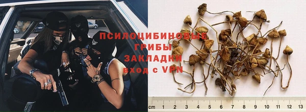 ГАЛЛЮЦИНОГЕННЫЕ ГРИБЫ Алзамай